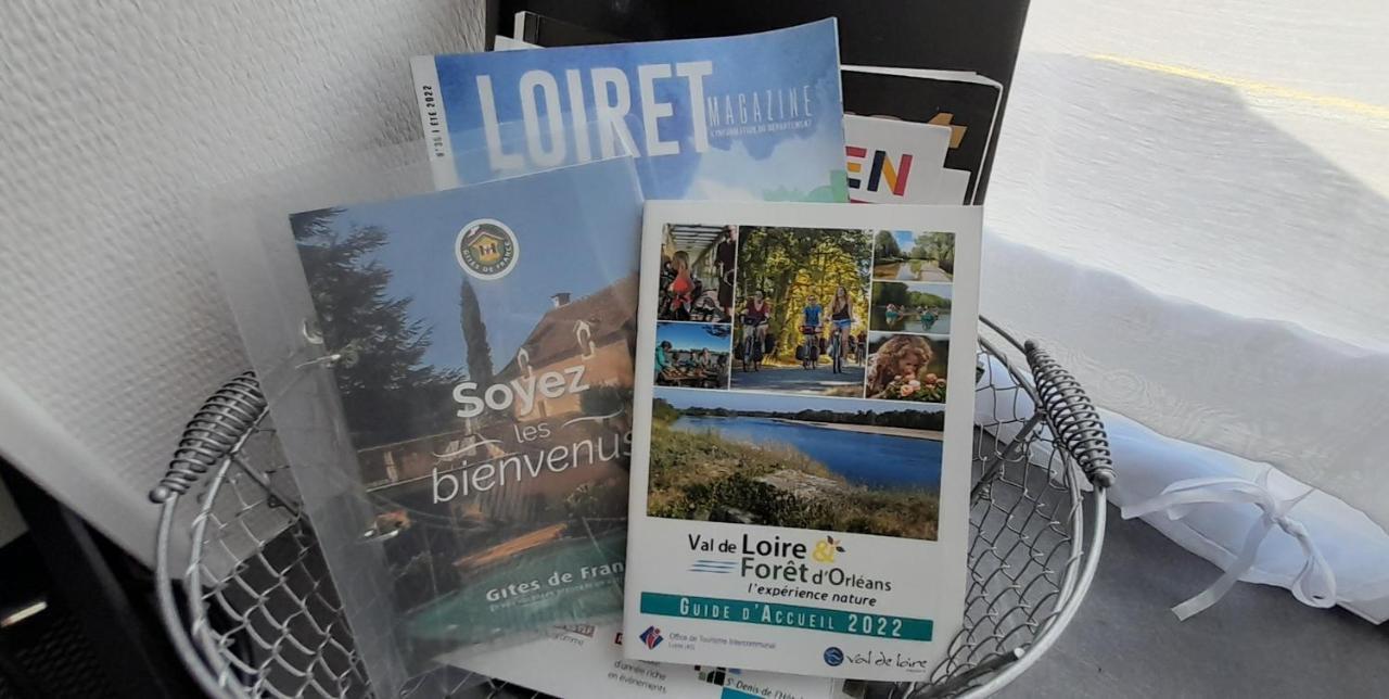 Studio Le Ligerien Saint-Denis-de lʼHôtel Exteriör bild